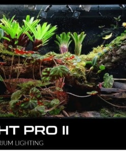 Skylight Pro