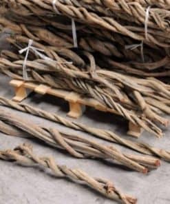 Vines, Branches & Wood