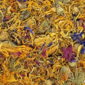 BioHerp Flower Mix