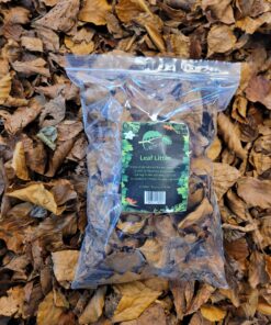 Alternative view of Buzzard Reptile Leaf Litter