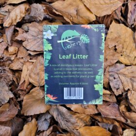 Buzzard Reptile Leaf Litter
