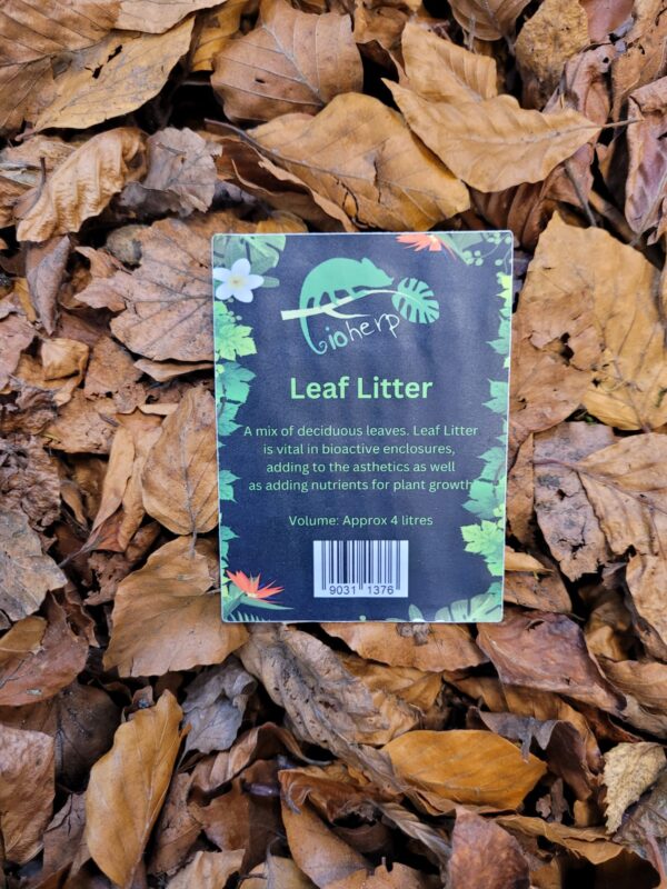 Buzzard Reptile Leaf Litter
