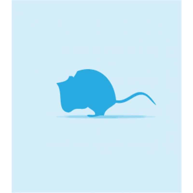 Frozen Mice