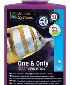 Aquarium Systems Reef Evolution One & Only