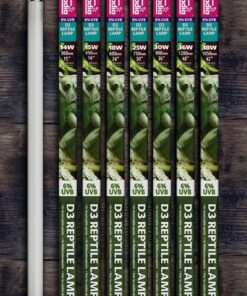 Arcadia D3 6% UVB Lamp