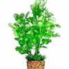 Giganterra Medium Artificial Plant