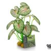 Giganterra Artificial Standing Pothos