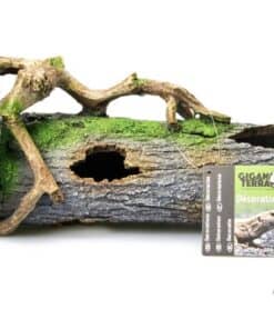 Giganterra Trunk with Liana Hide