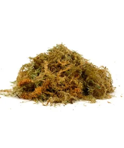 Buzzard Reptile Sphagnum 8 Litre
