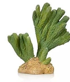 Giganterra Artificial Cactus 3