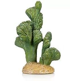 Giganterra Artificial Cactus 8