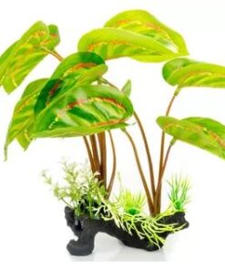 Silk & Plastic Plants