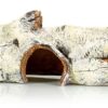 Giganterra Birch Stump Hide