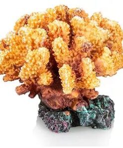 Giganterra Artificial Coral