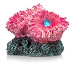 Giganterra Artificial Coral