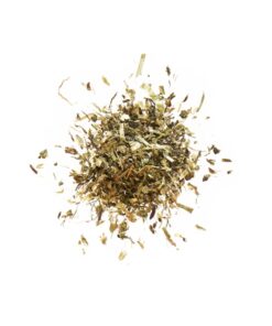 Pre Alpin Testudo Baby