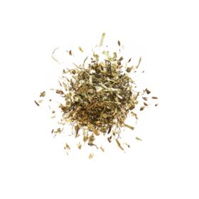 Pre Alpin Testudo Baby