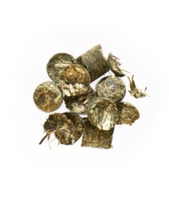 Pre Alpin Testudo Original