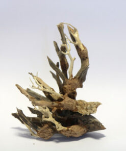 Octopus Wood Small Piece 15 x 20 x 10cm