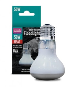 Arcadia Basking Solar Flood