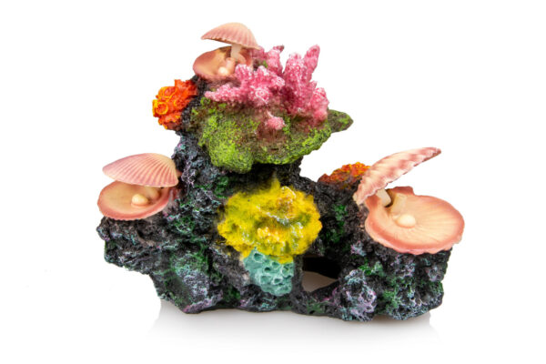 Giganterra Corals and Seashells