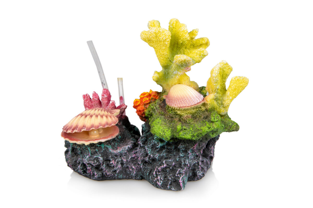 Giganterra Corals and Seashells 2