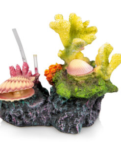 Giganterra Corals and Seashells 2