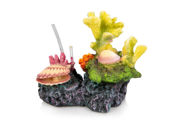 Giganterra Corals and Seashells 2