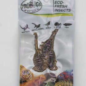 ProBugs Eco Fresh Scorpions 3pcs
