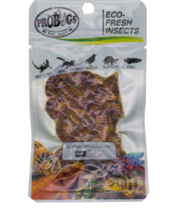 ProBugs Eco Fresh Silkworm Pupae