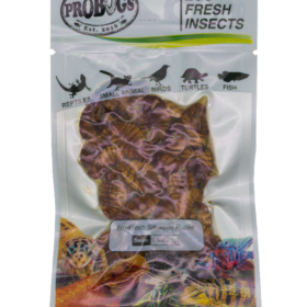 ProBugs Eco Fresh Silkworm Pupae