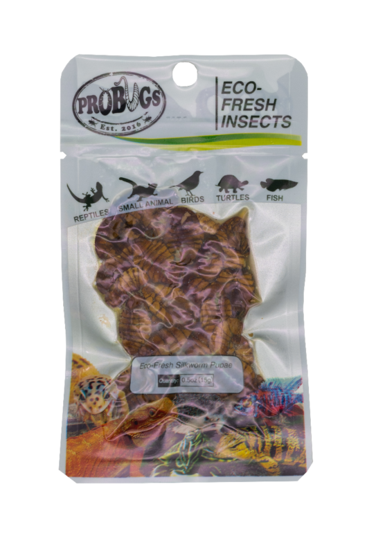 ProBugs Eco Fresh Silkworm Pupae