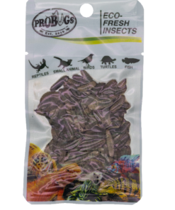 ProBugs Eco Fresh Black Soldier Fly Larvae