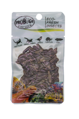 ProBugs Eco Fresh Black Soldier Fly Larvae