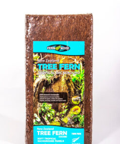 Fernwood Tree Fern Medium Panels 18x6inch Twin Pack