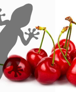 Reptile Supplies Gecko Diet - Cherry Bomb