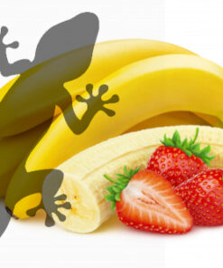 Reptile Supplies Gecko Diet - Banana & Strawberry