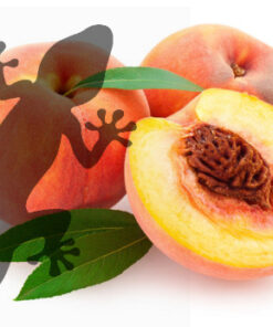 Reptile Supplies Gecko Diet - Peach Paradise