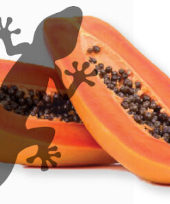 Reptile Supplies Gecko Diet - Papaya Supreme