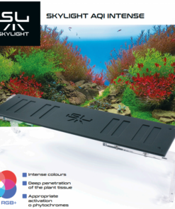 SkyLight AQI Intense