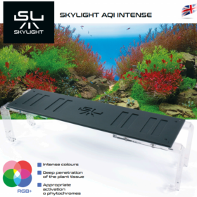 SkyLight AQI Intense