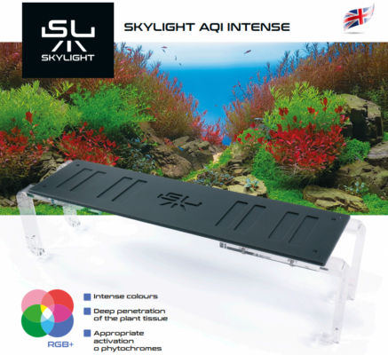 SkyLight AQI Intense