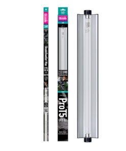 Arcadia Shadedweller Max