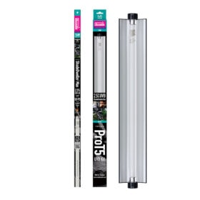 Arcadia Shadedweller Max