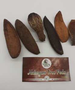 Mahogani Tree Pods