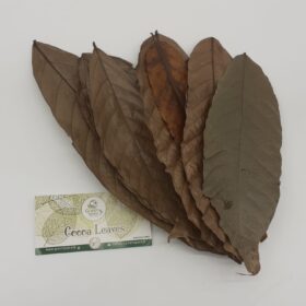 Cocoa Leaves