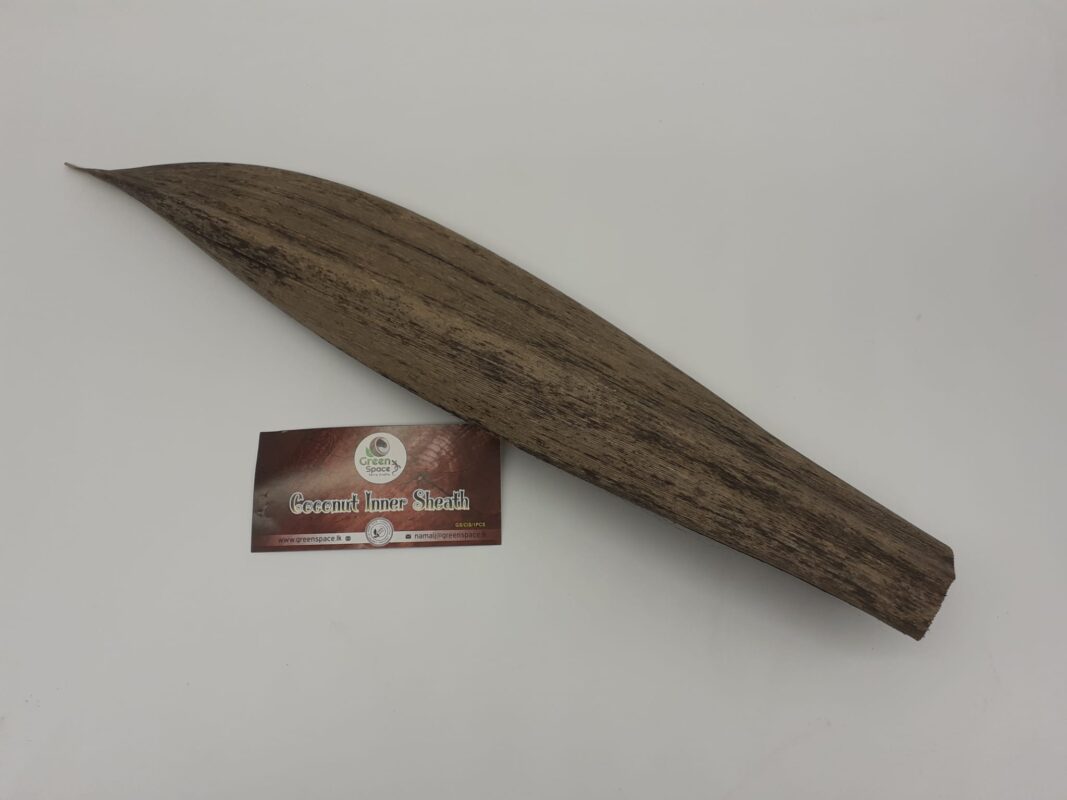 Coconut Inner Sheath