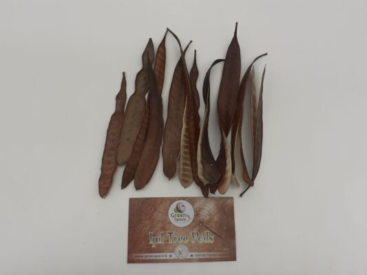 Ipil Tree Pods