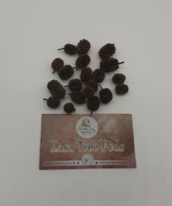 Kasa Tree Pods