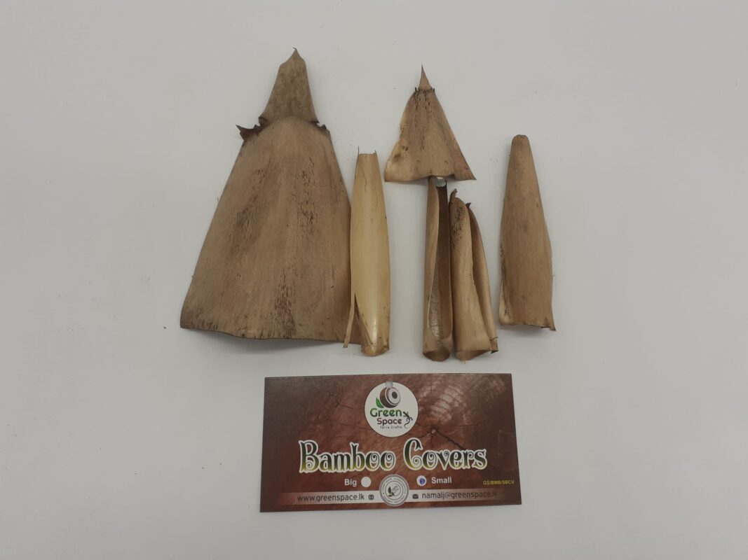 Bamboo Cover - Small